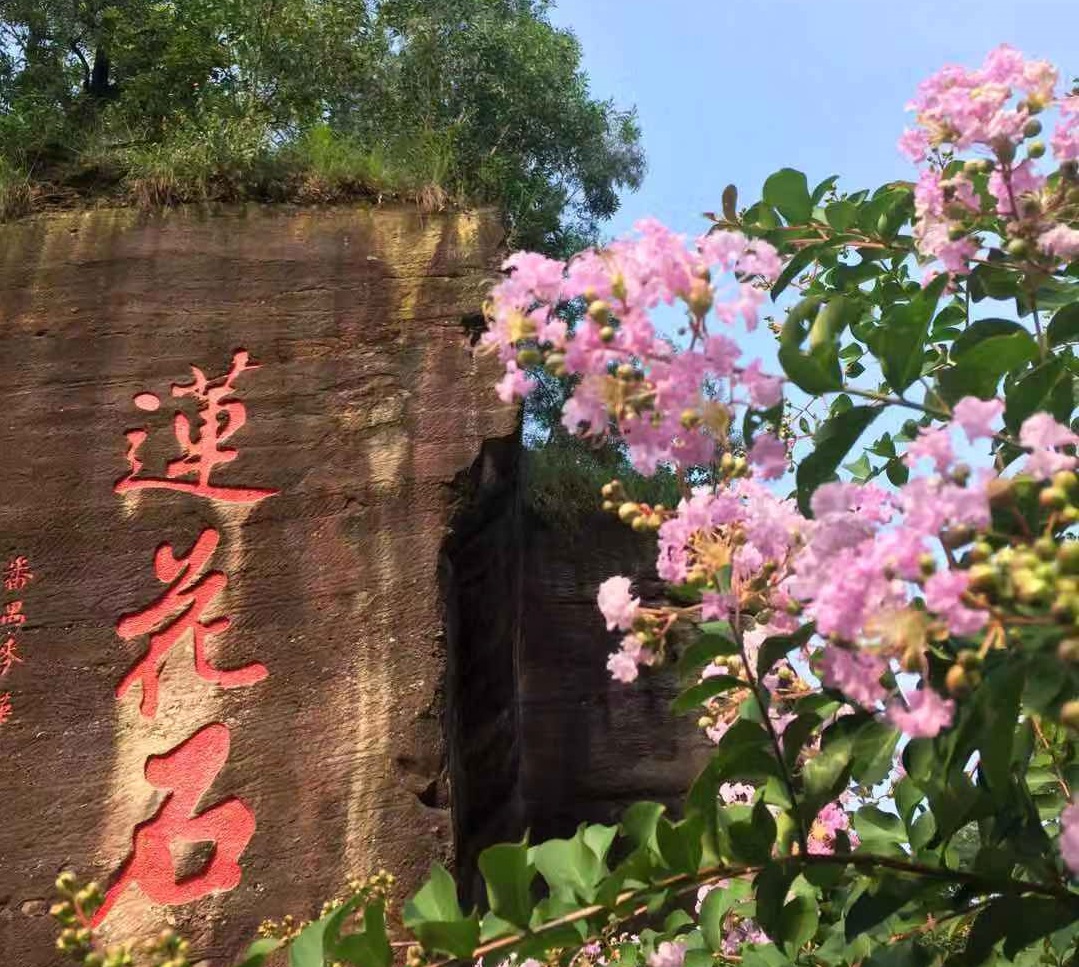 国际护士节丨我带上你，你带上证