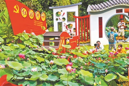 【转自羊城晚报】“中国红”绽放莲花山