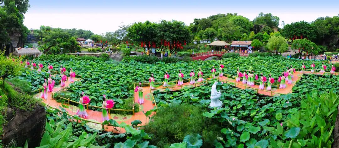 新鲜出炉！广州番禺莲花山形象宣传语征集活动结果公布
