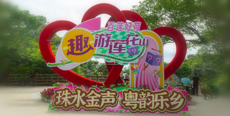这个被荷花包围的市集，你“趣”了吗？