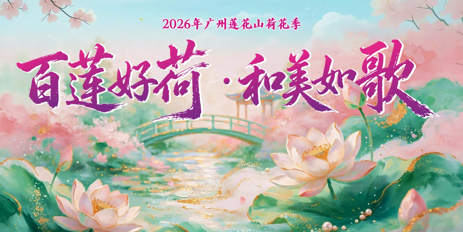 这里的荷花开好了，你来吗？