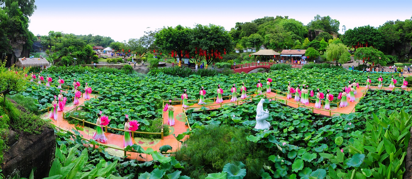 莲花仙子.jpg