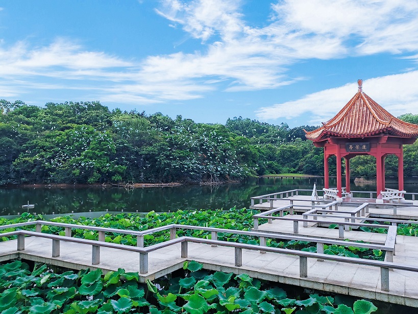 莲花湖.jpg